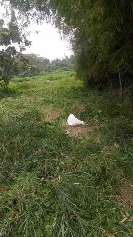 dijual tanah dijual tanah di selorejo