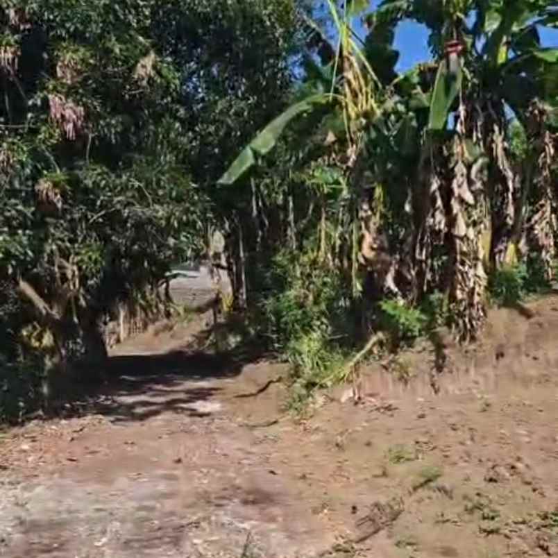 dijual tanah gianyar