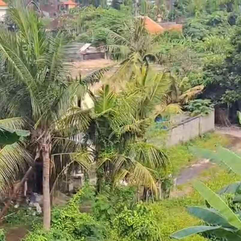 dijual tanah gianyar