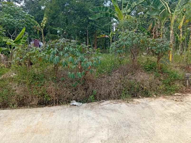 dijual tanah gunung pati
