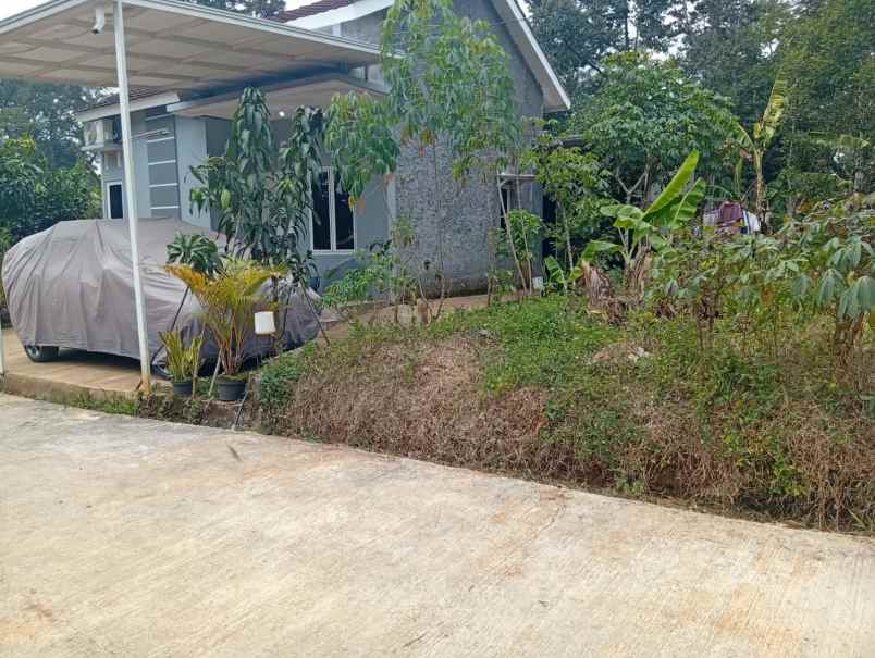 dijual tanah gunung pati