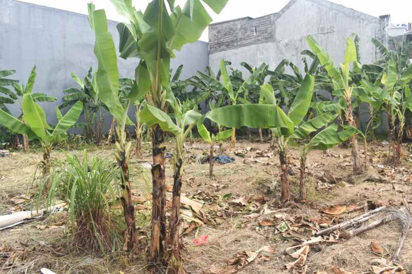 dijual tanah harapan indah 1 perumahan