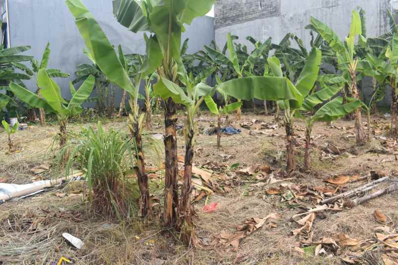 dijual tanah harapan indah 1 perumahan