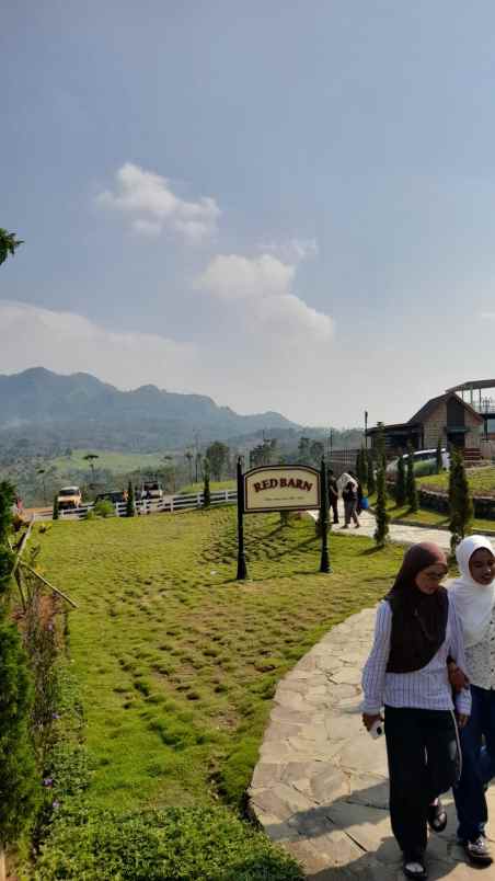 dijual tanah jalan gelatik rt 01 rw 03