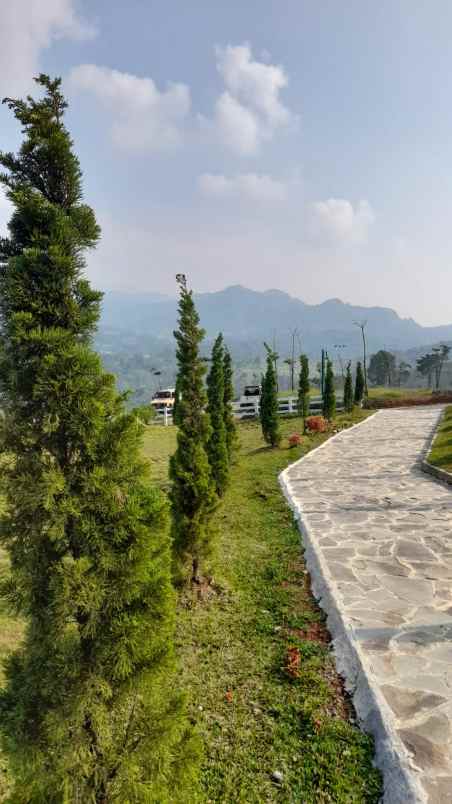 dijual tanah jalan gelatik rt 01 rw 03