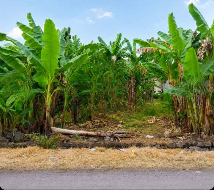 dijual tanah jalan malik ibrahim