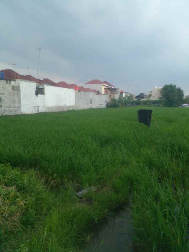 dijual tanah jalan pembangunan 1