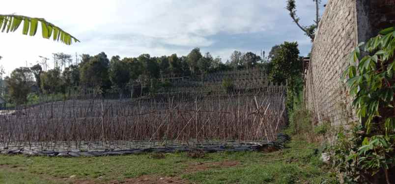 dijual tanah jl bukanagara pagerwangi