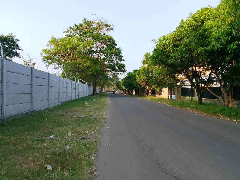 dijual tanah jl pelita cipatuguran