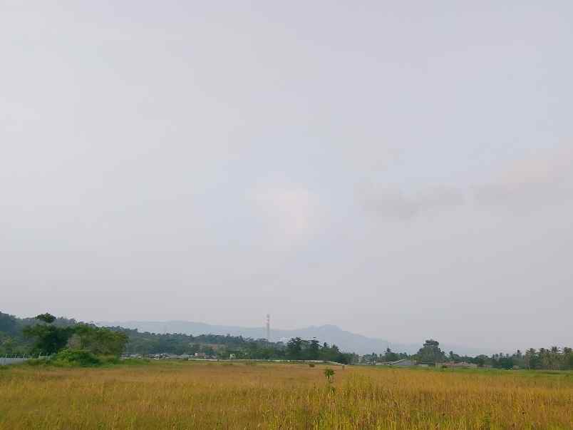 dijual tanah jl pelita cipatuguran
