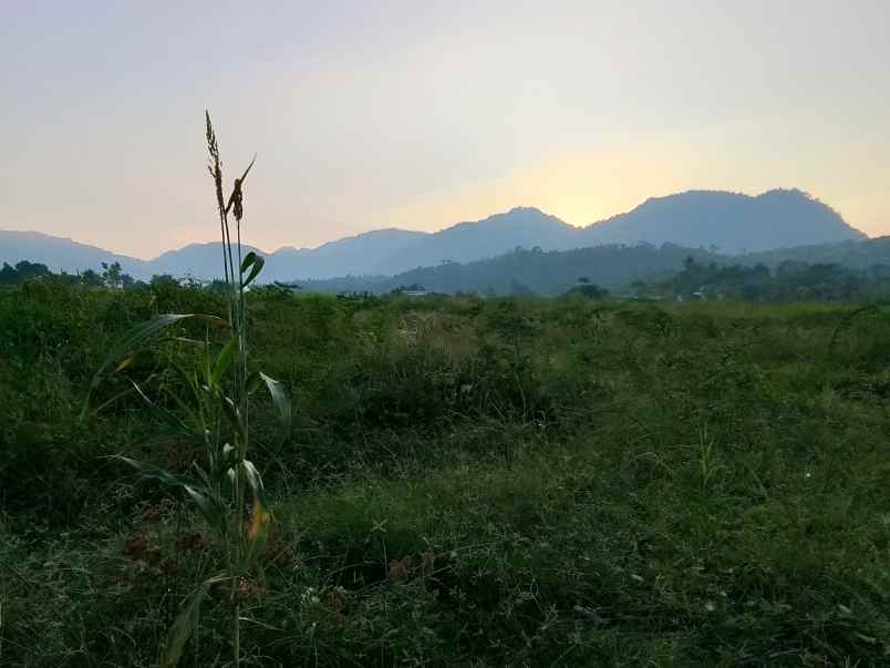 dijual tanah jl pelita cipatuguran