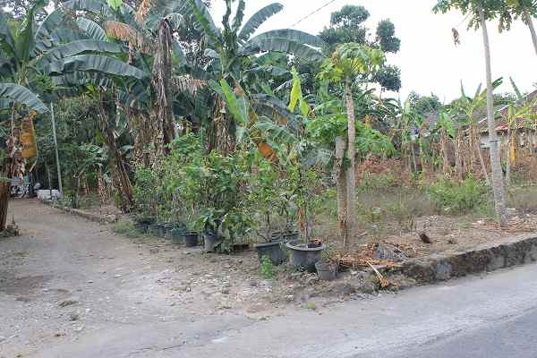 dijual tanah jl sidokerto purwomartani
