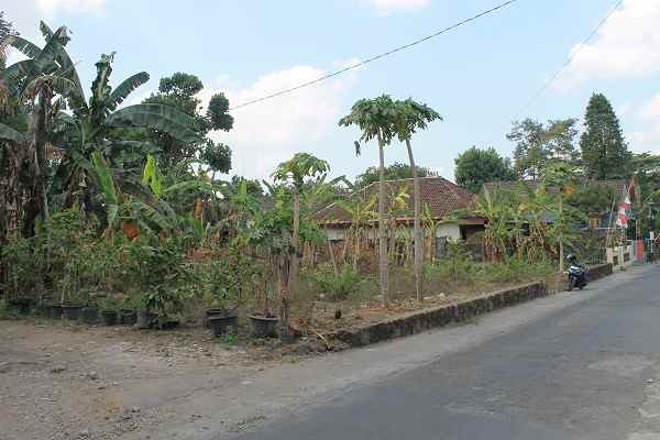 dijual tanah jl sidokerto purwomartani