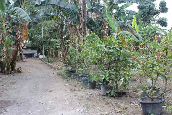 dijual tanah jl sidokerto purwomartani