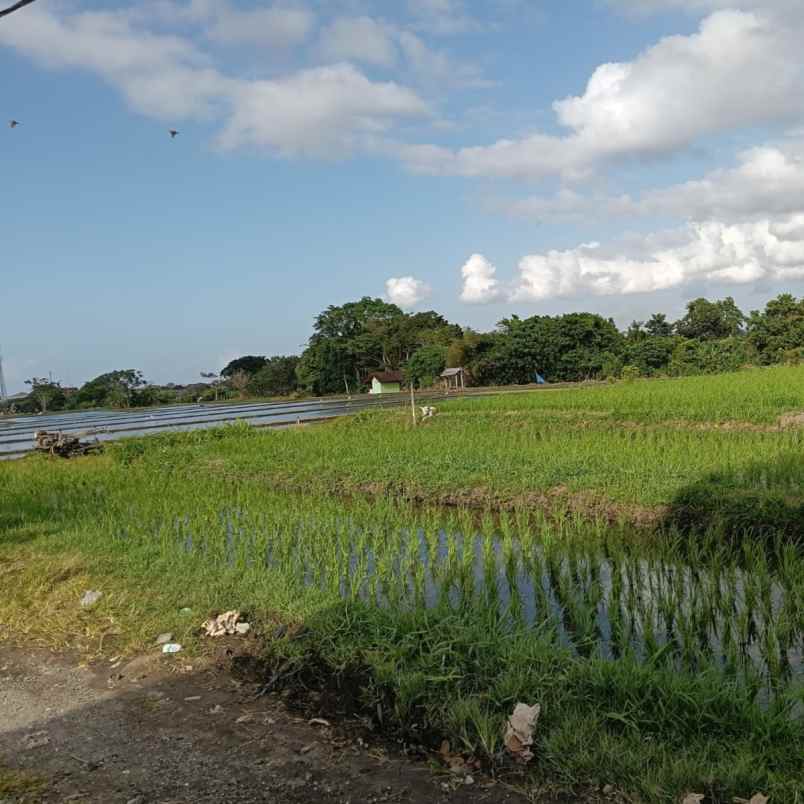 dijual tanah jl siulan