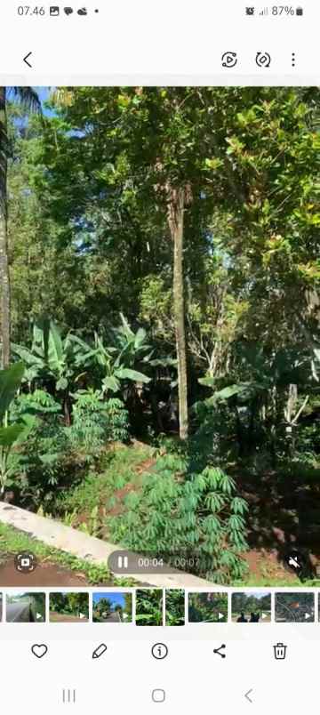 dijual tanah jln bukit pakat timur