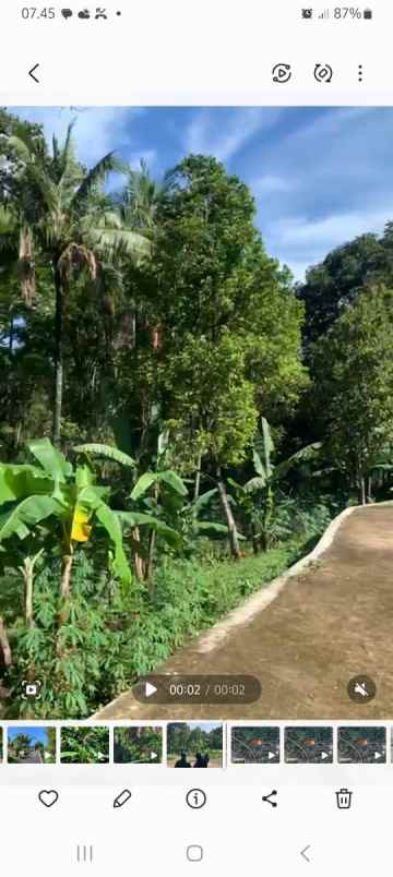 dijual tanah jln bukit pakat timur
