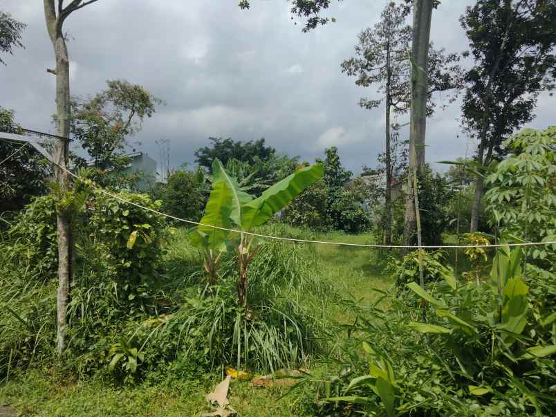 dijual tanah kaliaren