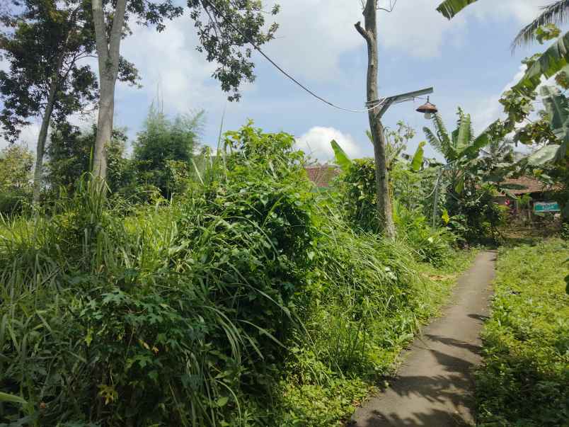 dijual tanah kaliaren