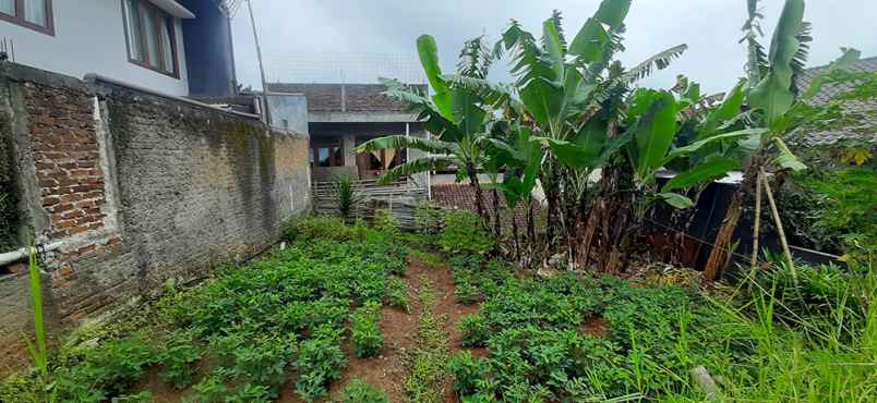 dijual tanah kampung padfi