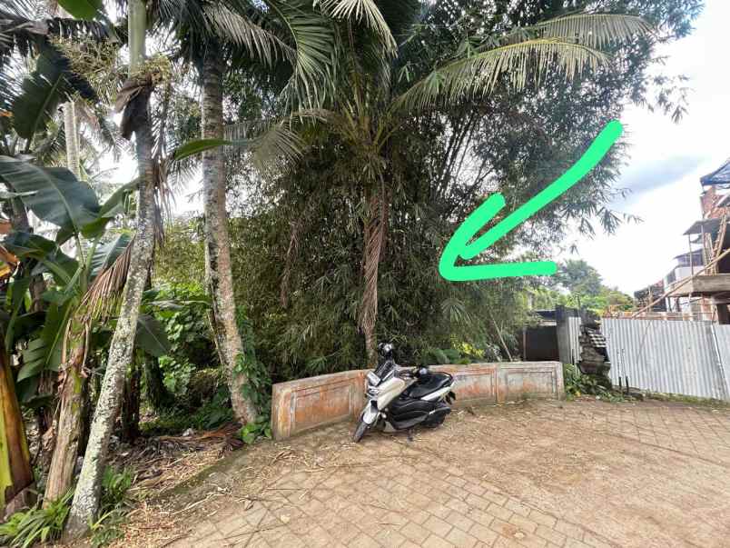 dijual tanah kawasan villa lokasi ubud