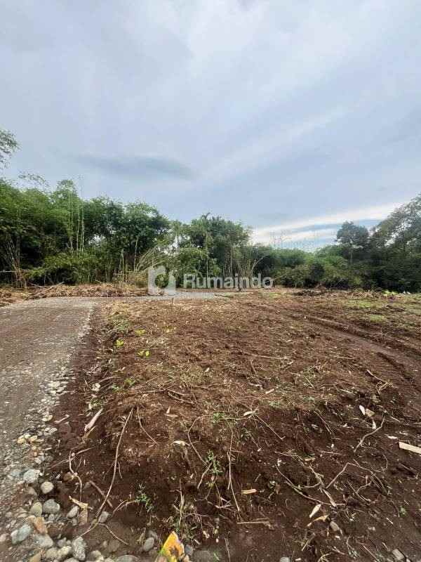 dijual tanah kedunglegok