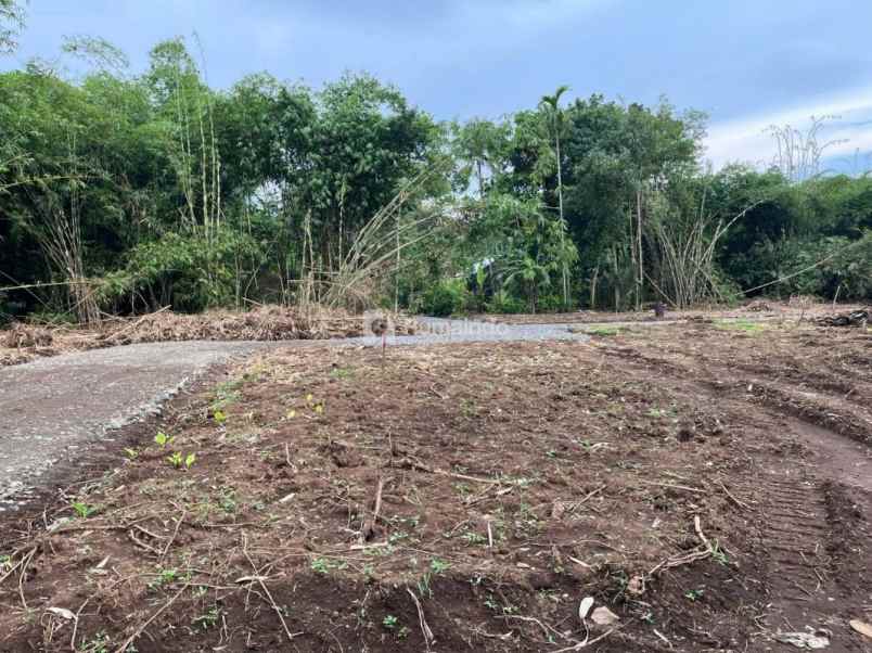 dijual tanah kedunglegok