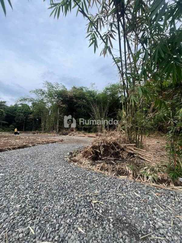 dijual tanah kedunglegok