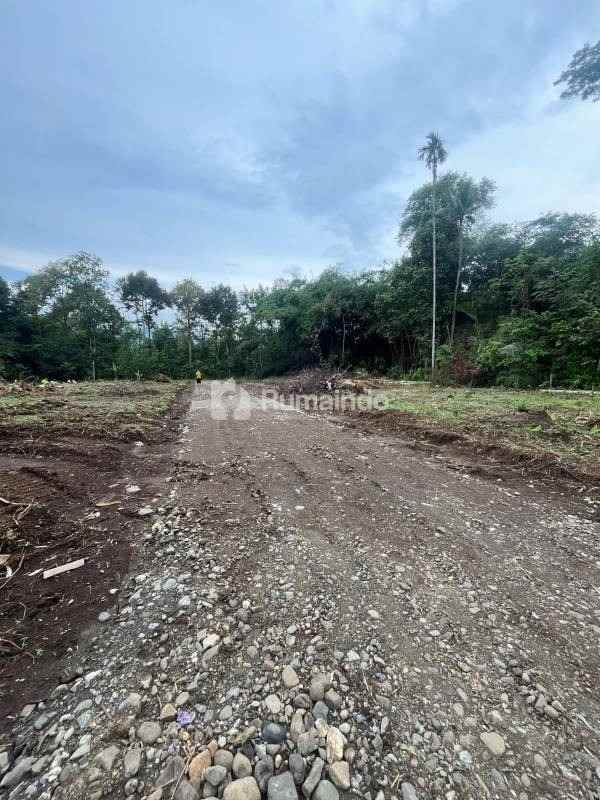 dijual tanah kedunglegok