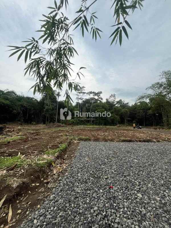 dijual tanah kedunglegok