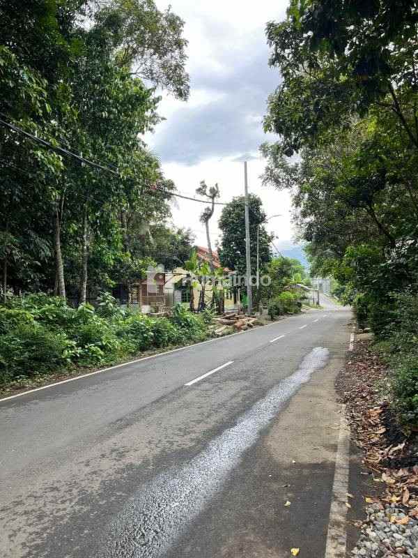 dijual tanah kedunglegok