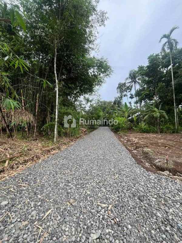 dijual tanah kedunglegok