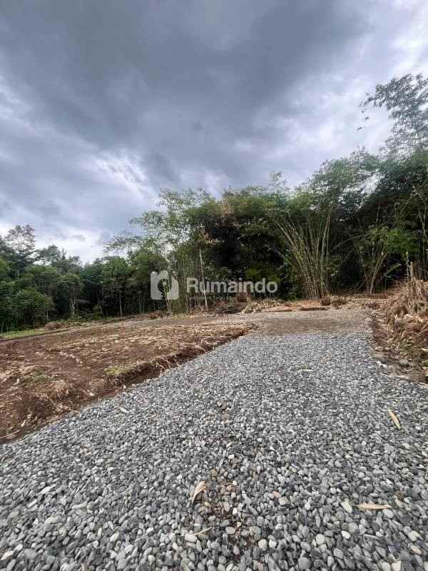 dijual tanah kedunglegok