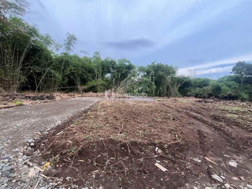 dijual tanah kedunglegok