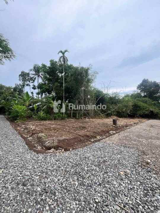 dijual tanah kedunglegok