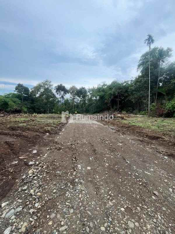 dijual tanah kedunglegok