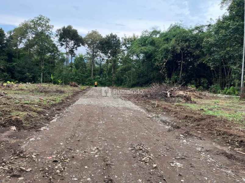 dijual tanah kedunglegok