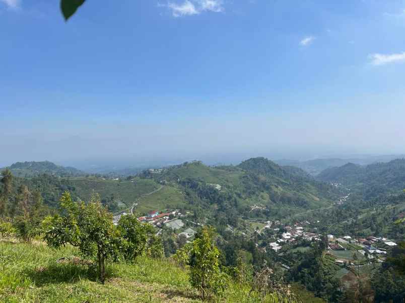 dijual tanah kemuning ngargoyoso