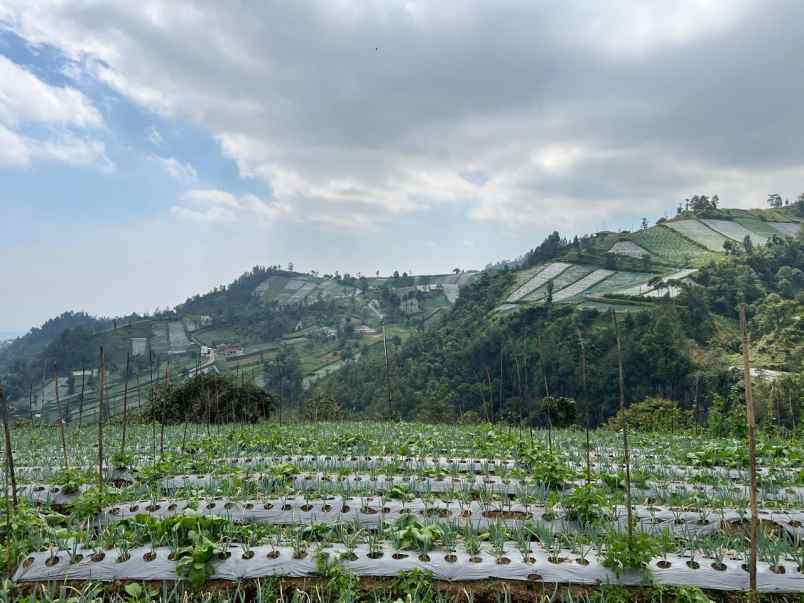 dijual tanah kemuning ngargoyoso