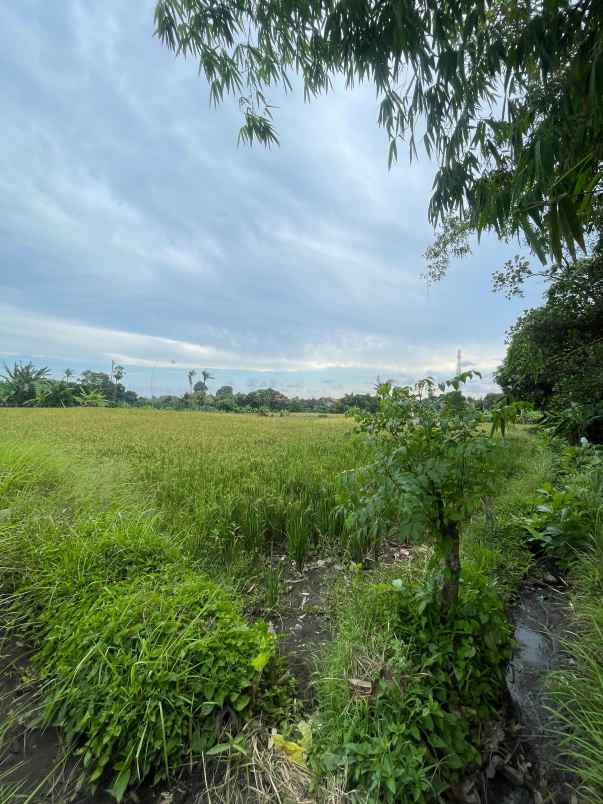 dijual tanah ketewel sukawati