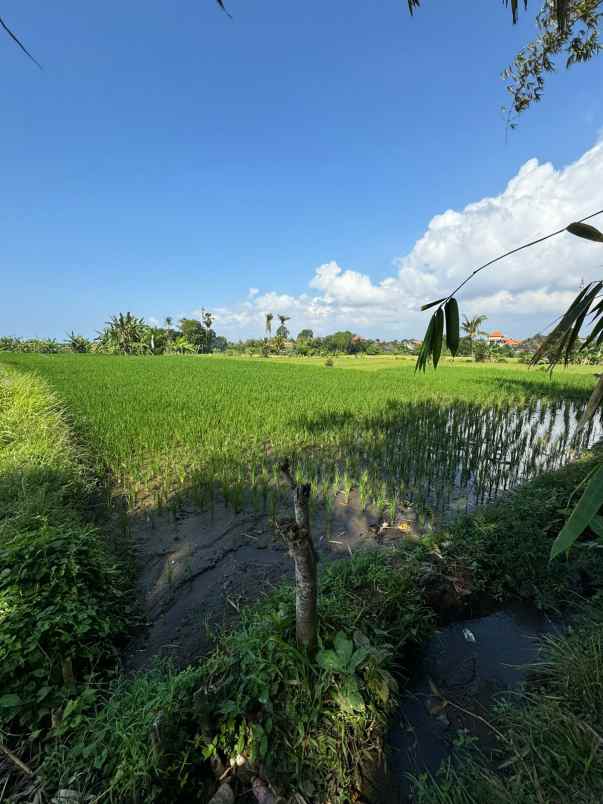 dijual tanah ketewel sukawati