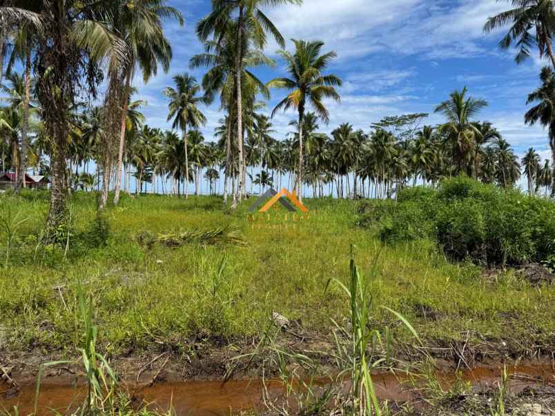 dijual tanah kota gunung sitoli jalan