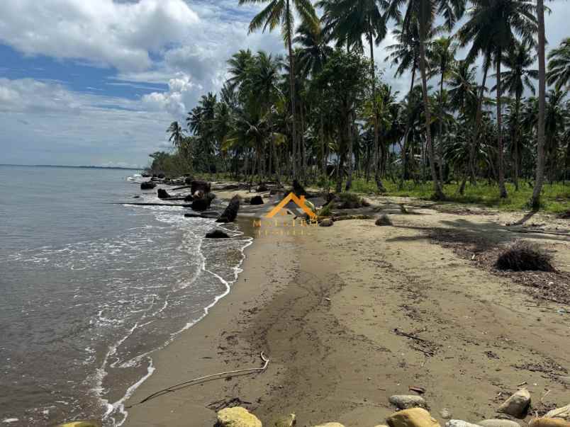 dijual tanah kota gunung sitoli jalan