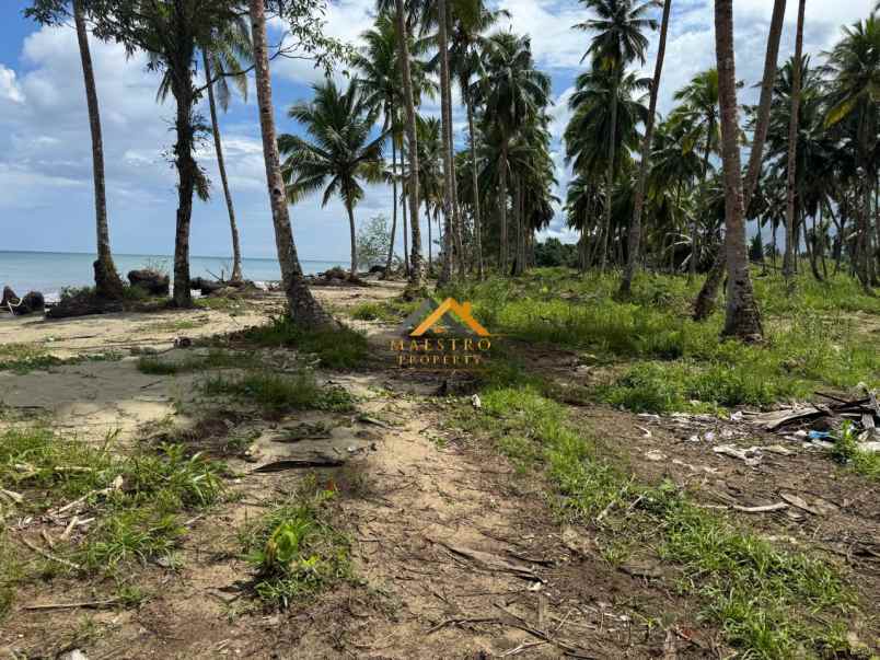 dijual tanah kota gunung sitoli jalan
