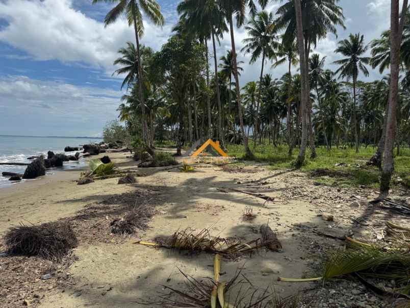 dijual tanah kota gunung sitoli jalan