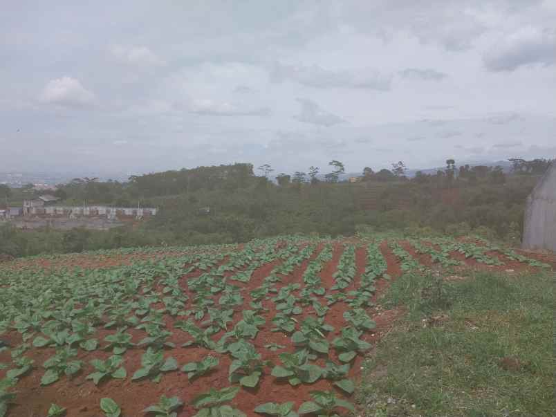 dijual tanah kp garung kidul