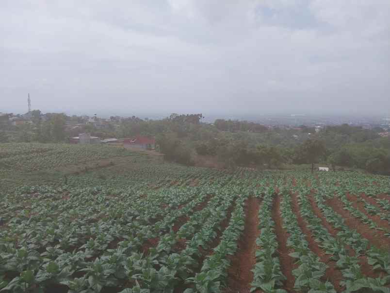 dijual tanah kp garung kidul