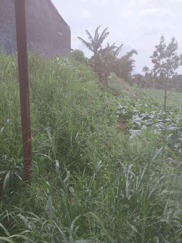 dijual tanah kp garung kidul