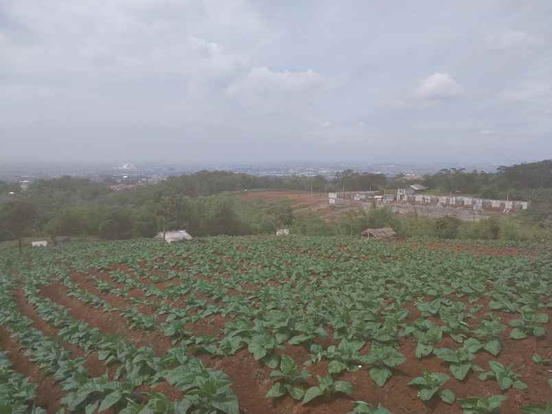 dijual tanah kp garung kidul