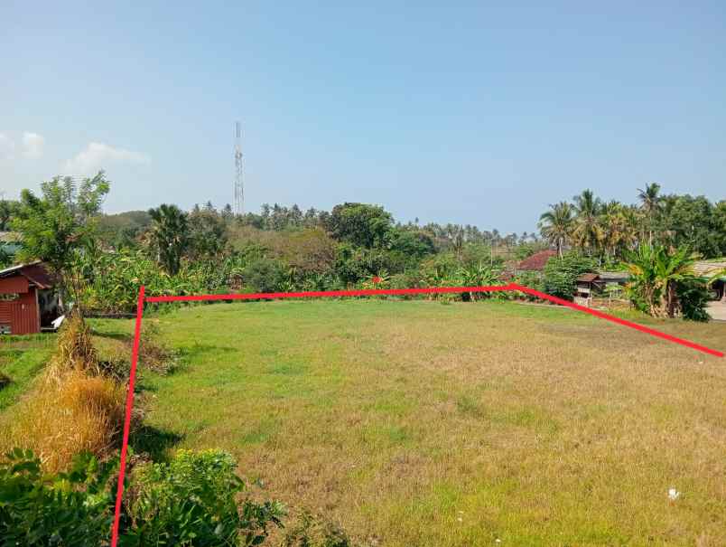 dijual tanah lalanglinggah selemadeg